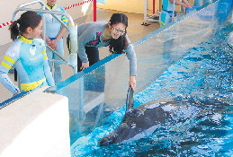 イベントも人気!