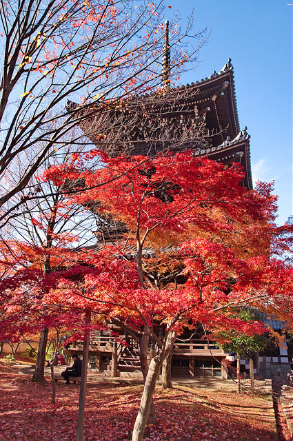 真如堂(真正極楽寺)