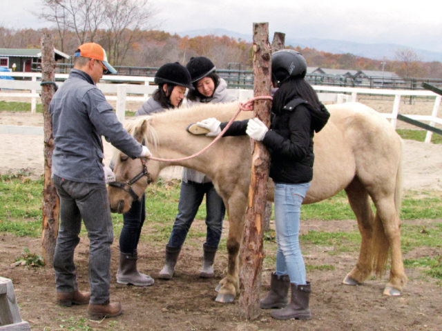 【ココで体験!】馬との暮らしを体験できる「大沼流山牧場 Paard Musee」