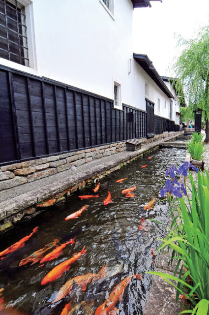 【飛騨古川の観光スポット】飛騨の銘酒”蓬莱”を醸す蔵元「渡辺酒造店」