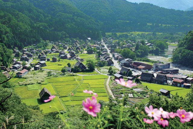 【白川郷観光モデルコース】1.展望台