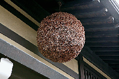 【飛騨高山×吉島家住宅】ココもcheck!!