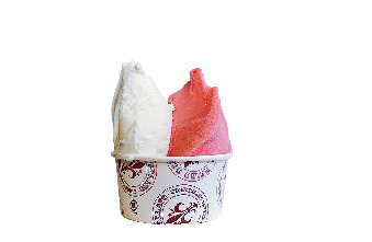 【飛騨美濃せせらぎ街道×ドライブ④】本格イタリアンジェラートを郡上で「明宝ジェラート」