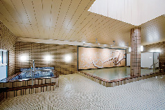 飛騨高山温泉 臥龍の湯 臥龍の郷