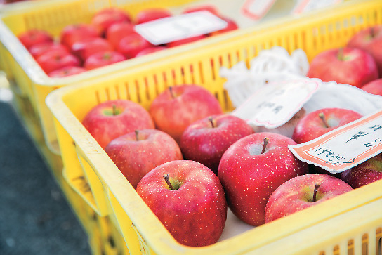 【飛騨高山】朝市にはお土産にしたくなる高山名物も