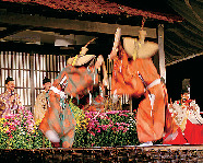 【五箇山合掌の里】こきりこ祭り