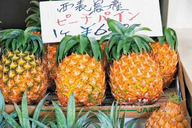 【那覇・国際通り周辺のおすすめスポット】第一牧志公設市場