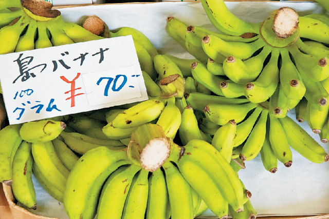 【那覇・国際通り周辺のおすすめスポット】第一牧志公設市場