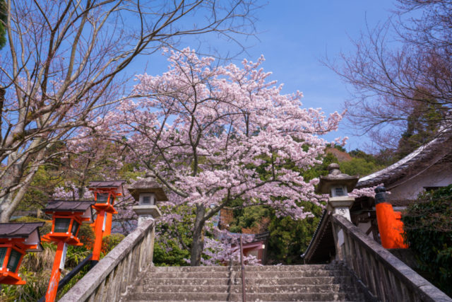 【鞍馬から貴船をめぐるBESTコース】②鞍馬寺