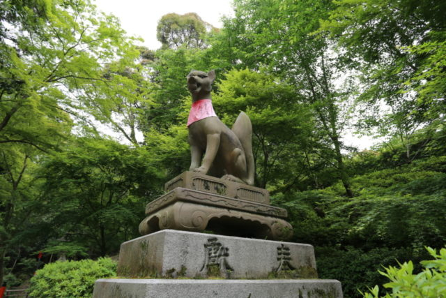 【伏見稲荷大社の見どころ】概要&参拝コース