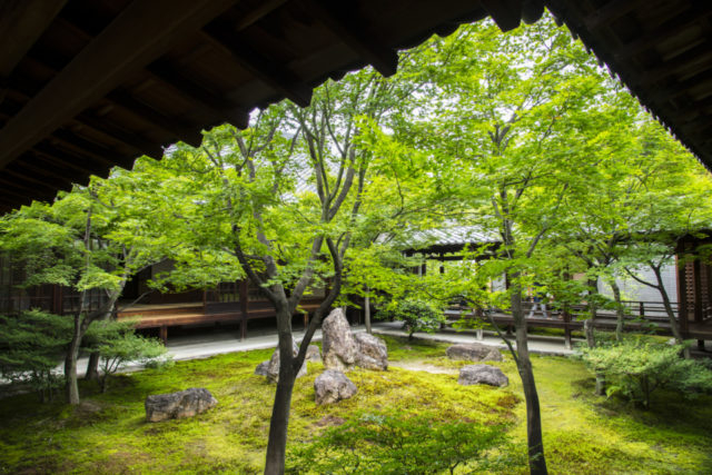 京都 祇園 河原町 おすすめ観光スポットをチェック 観光旅行メディア まっぷるトラベルガイド 京都 祇園 河原町 おすすめ観光スポットをチェック 観光旅行メディア まっぷるトラベルガイド