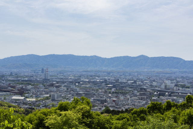 【伏見稲荷大社の見どころ】概要&参拝コース