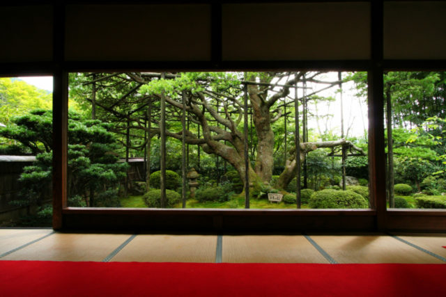 大原観光名所③宝泉院