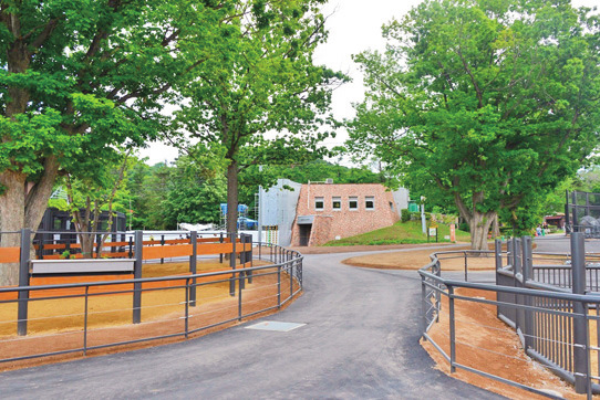 アフリカゾーン