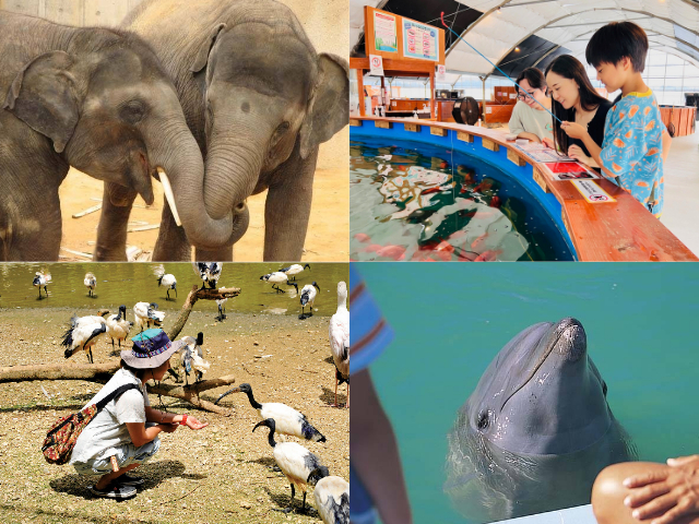 【沖縄】おすすめの体験スポット! 動物ふれあいや工場見学を子どもと楽しむ!