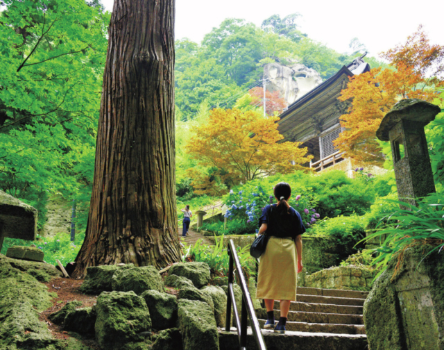 【山形観光×山寺】③仁王門
