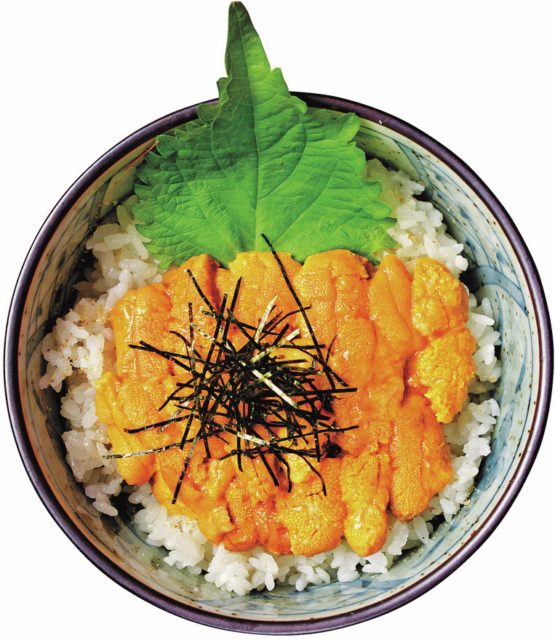 【仙台海鮮×海鮮丼】南三陸金華山 片倉うに屋