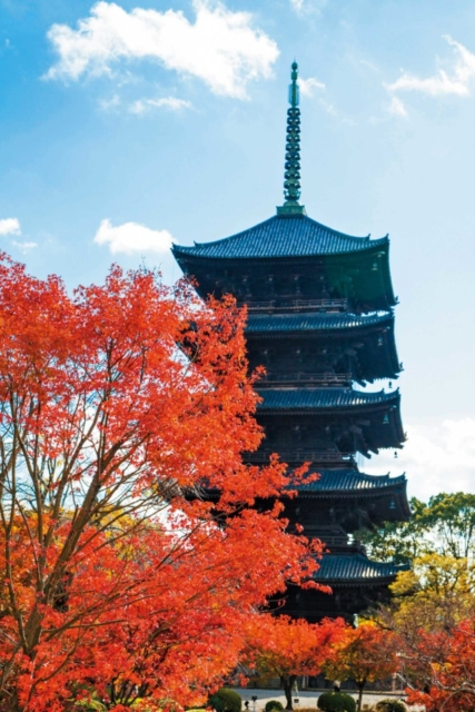東寺(教王護国寺)の見どころ⑦五重塔