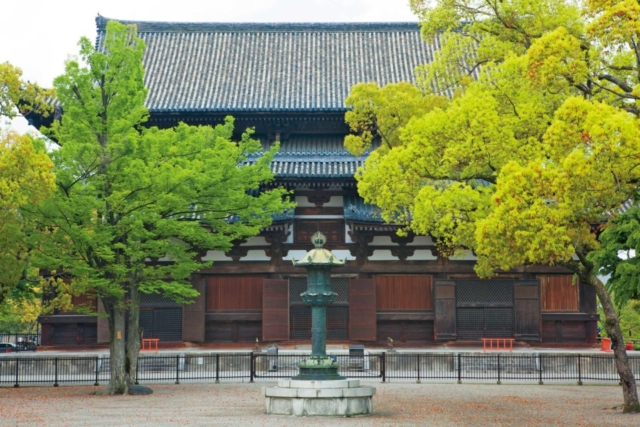 東寺(教王護国寺)の見どころ⑥金堂