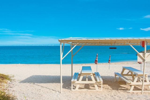 【沖縄でやりたいこと×海辺のカフェへ】浜辺で味わう本場のネパール料理「食堂かりか」