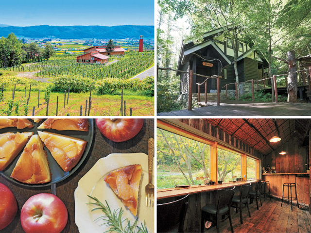 富良野のおすすめカフェ ロケーション自慢のすてきカフェを集めました!