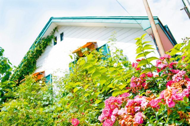 【函館×スイーツ】グリーンゲイブルズ