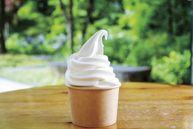 【飛騨高山の道の駅×天然温泉】足湯と鮎の塩焼が自慢「古今伝授の里やまと」