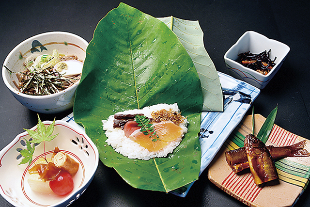 【飛騨高山の道の駅×温泉&グルメ】飛騨の恵みと温泉を堪能「飛騨金山ぬく森の里温泉 道の駅かれん」
