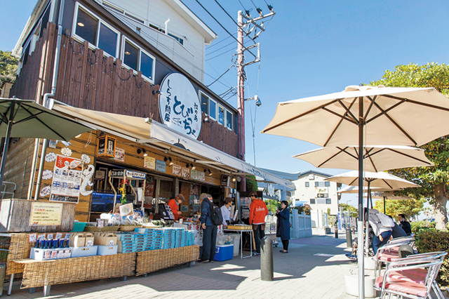迫力の海鮮てんこ盛り!ぜいたく丼は必食!「しらす問屋 とびっちょ江の島本店」