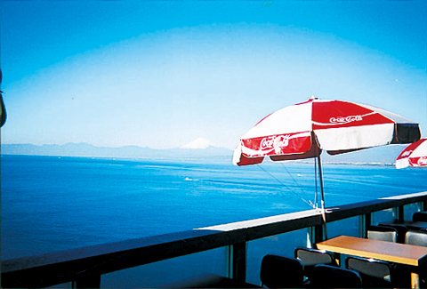 迫力の海鮮てんこ盛り!ぜいたく丼は必食!「富士見亭」