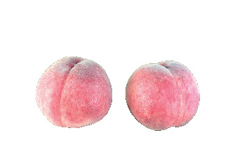 【長野 北信エリアの道の駅】北信州やまのうち(山ノ内町)