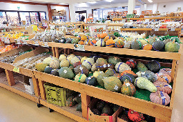 理楡の郷・三郷サラダ市