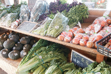 八ヶ岳中央農業実践大学校(八ヶ岳農場)