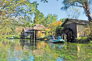 【長野×観光1日目 1】名水百選の湧水が育む日本最大級のわさび田を散策「大王わさび農場」