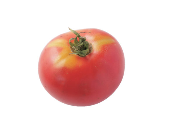 たてしな自由農園 原村店