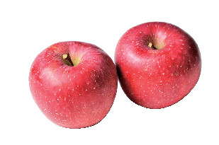 理楡の郷・三郷サラダ市