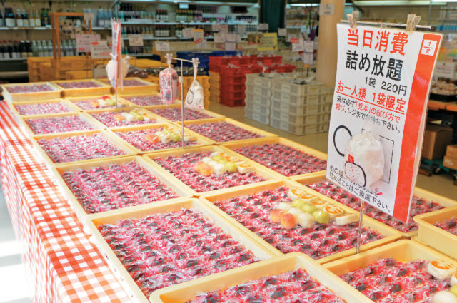 ①桔梗信玄餅工場テーマパーク