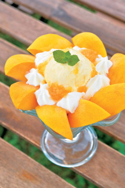 ④やまなし内藤農園 Green Table Cafe