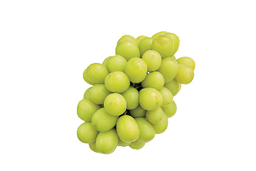 人気フルーツスポット