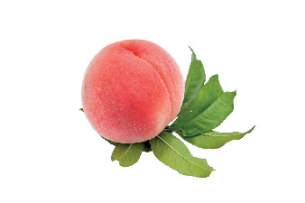 人気フルーツスポット