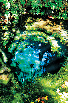 【忍野八海めぐり】⑧お釜池