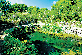 【忍野八海めぐり】⑦銚子池