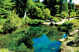 【忍野八海めぐり】⑥底抜池