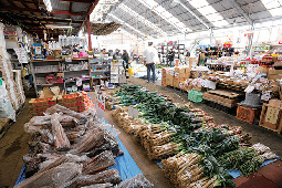 産直市場グリーンファーム