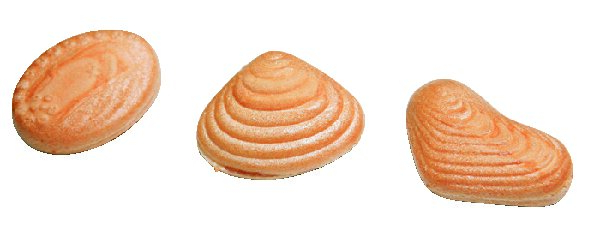 【江の島×ローカル体験】島内をのんびり歩く