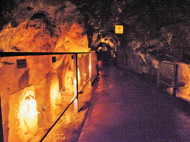 【江の島×ローカル体験】島内をのんびり歩く