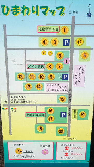 ひまわりの種類と会場の歩き方