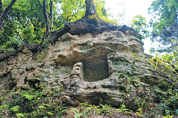 【鎌倉七口】かつての面影を色濃く残す七口きっての長い道が続く「朝夷奈切通」