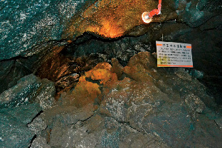 珍しいヒカリゴケをめざして探索