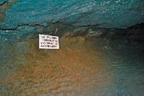 珍しいヒカリゴケをめざして探索